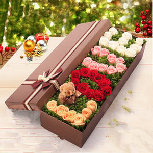Rose Love(diff color)