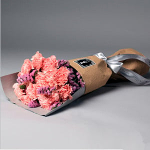Carnations love (pink carnation)