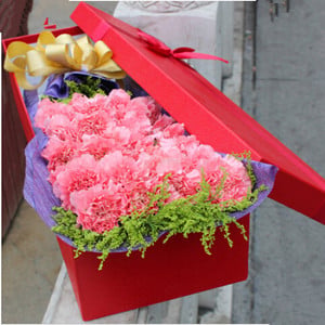 Perfect present (red carnation)