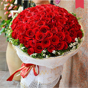 New heart beat (66 roses)