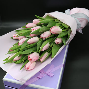 tulip in box