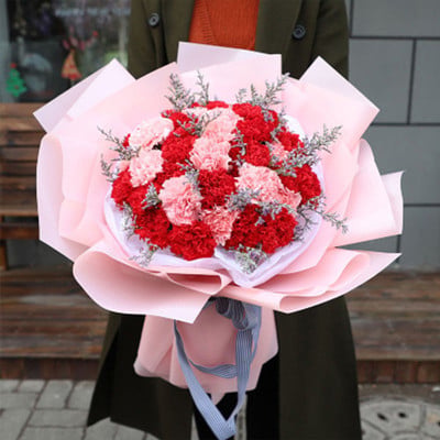 red and pink carnations (12 red + 12 pink carnations)
