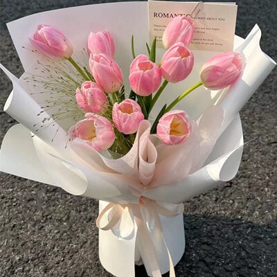 pink tulip