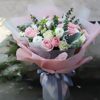 Best Wishes