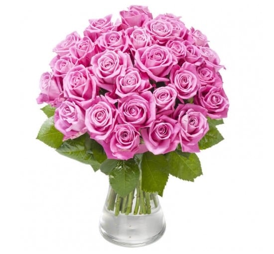 Roses of Plenty (Basic)
