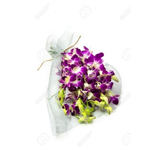 Oriental Orchids (Basic)