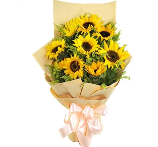 Rays of Sunshine (Basic)