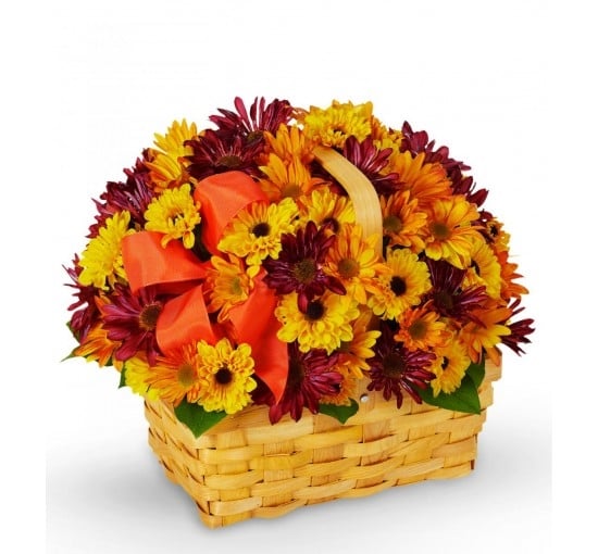 Basket of Daisies (Basic)