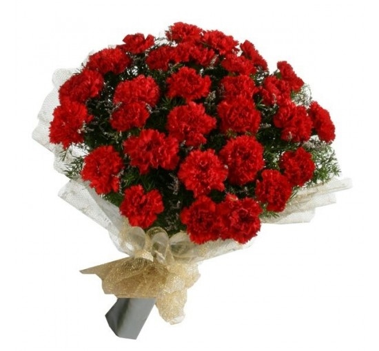 Red Carnation Handy Bunch (Basic)