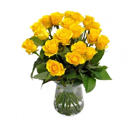 Yellow Rose Surprise