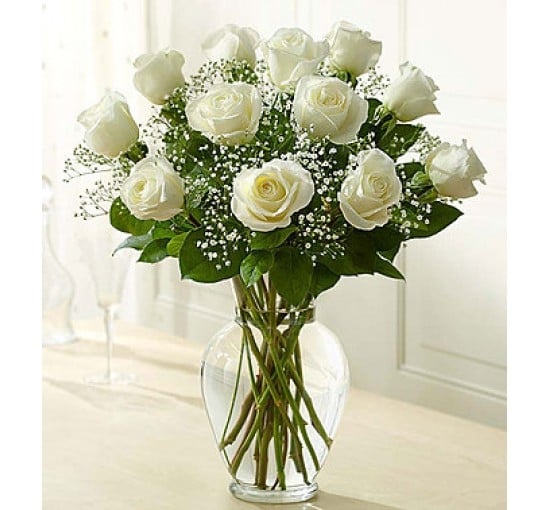 Rose of Elegance (Basic)