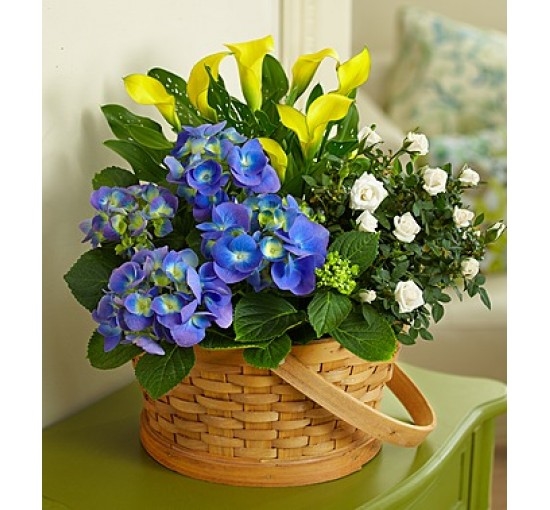 Joyful Blooms Garden (Basic)