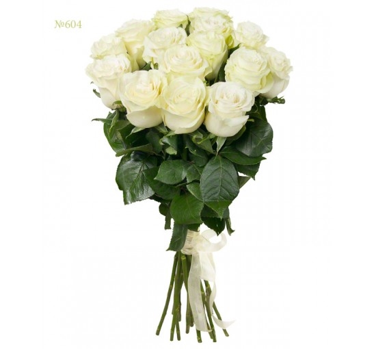 White Rose Harmony (Basic)