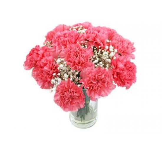 Pink Elegance (Basic)