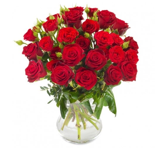 Bountiful Red Roses (Basic)