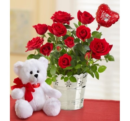 I Love You Gift Set (Basic)
