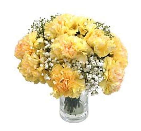 Pretty Yellow Carnation (Basic)