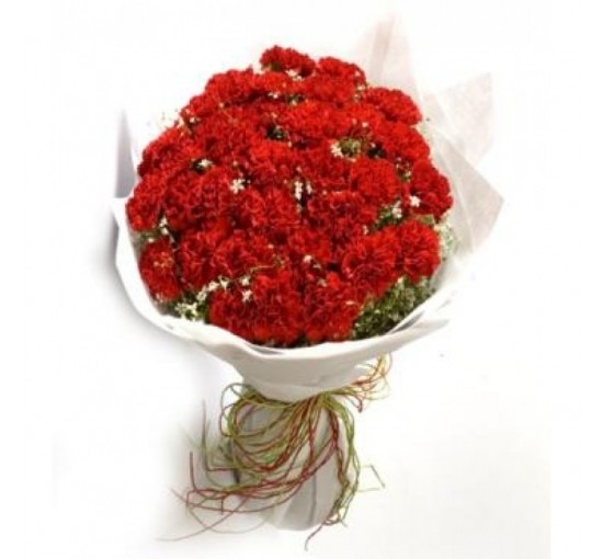 Red Carnation Sparkle (Basic)