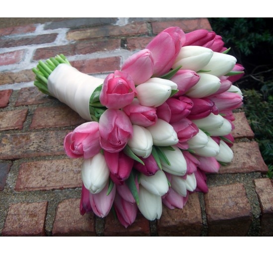 Pinkish White Tulips (Basic)