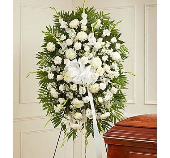 White Sympathy (Basic)