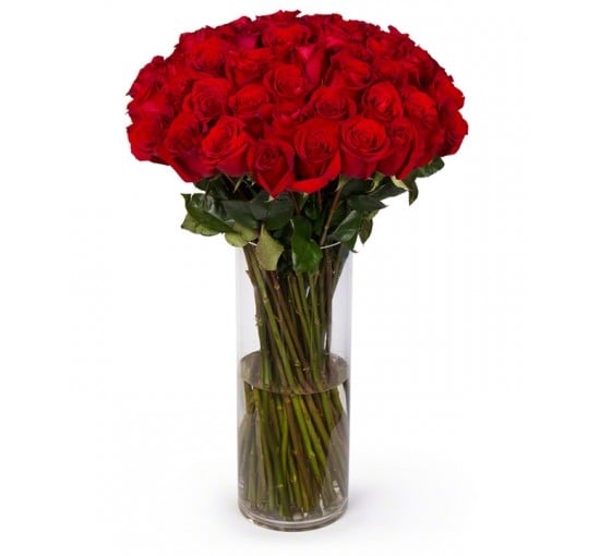 Ultimate Red Long Stem Roses
