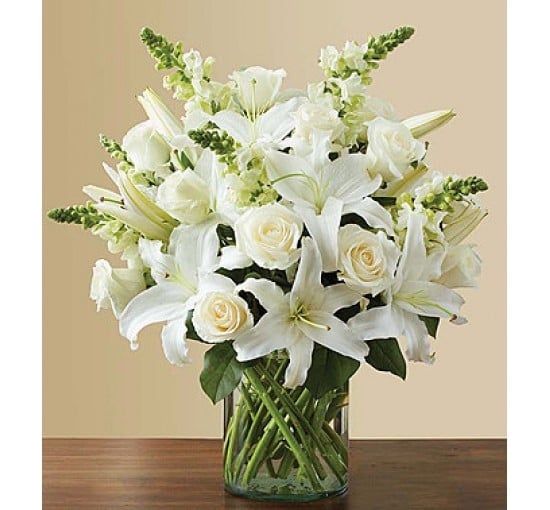 Classic All White (Basic)