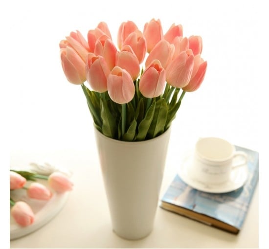 Tulips in peach (Basic)
