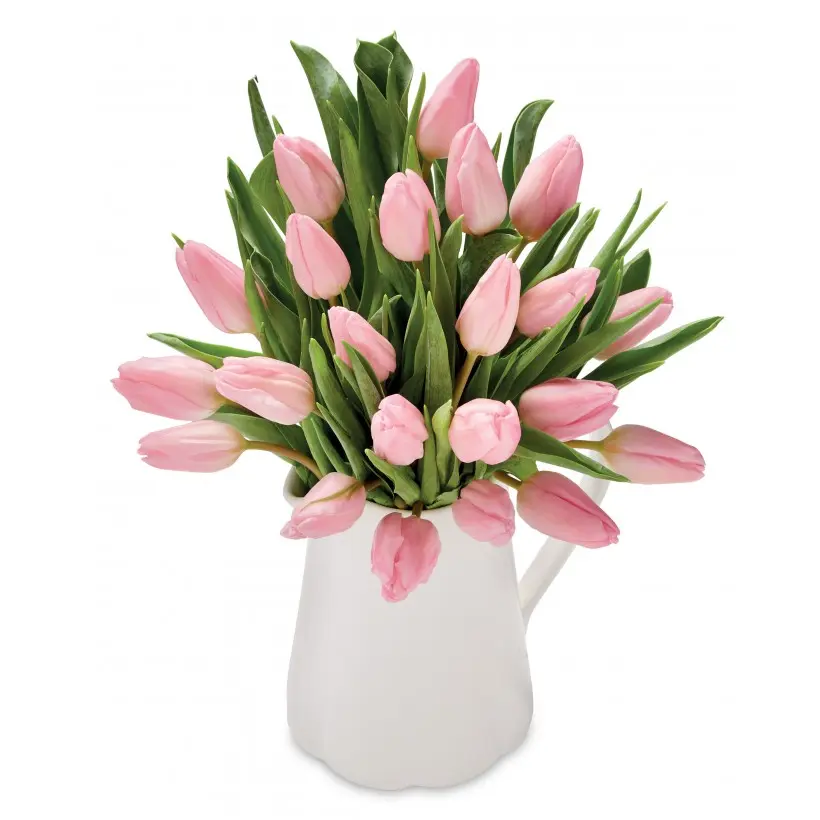 Mother's day tulip