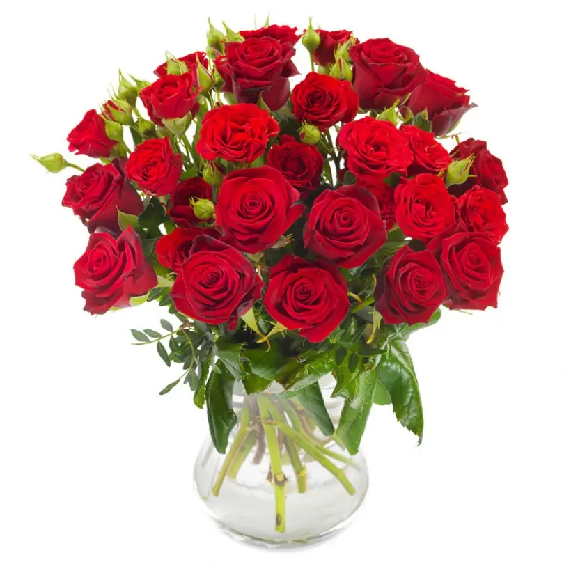 Bountiful Red Roses