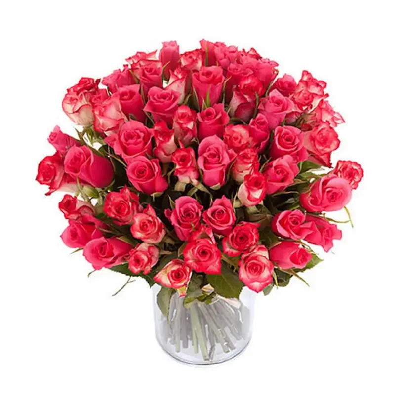 Glamour of Love