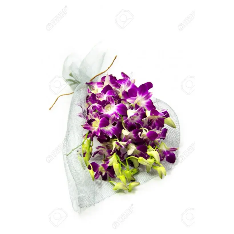 Oriental Orchids