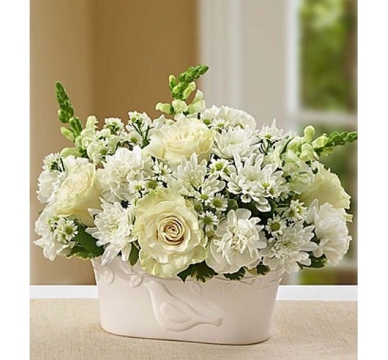 Peace and Healing White (Basic)