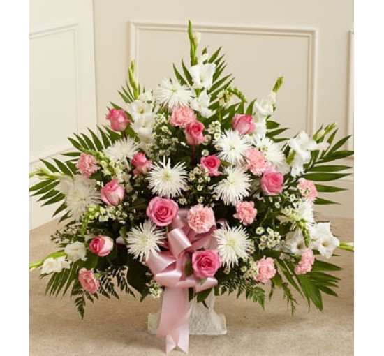 Tribute Pink&White (Basic)