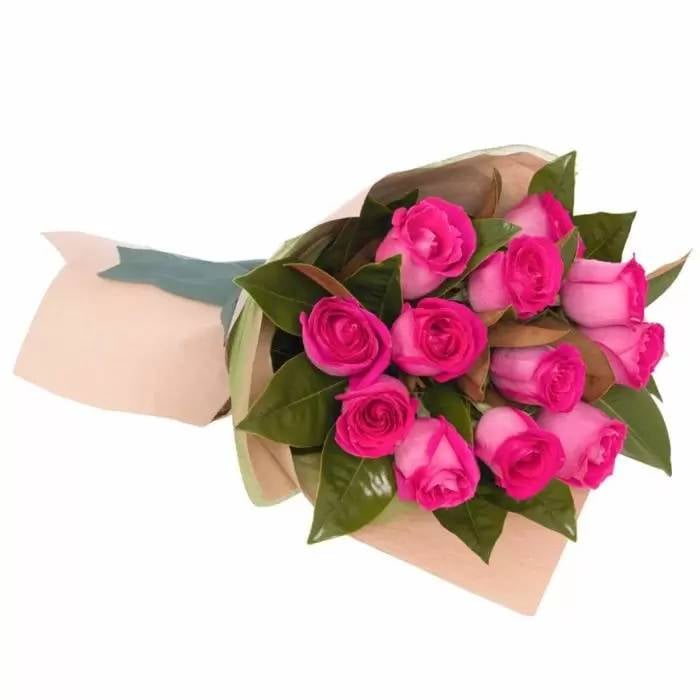 Dozen Fuchsia Roses