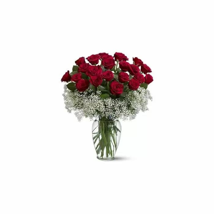 Bouquet of 24 Red Roses