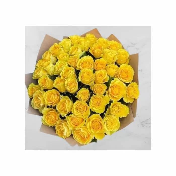 48 Yellow Roses