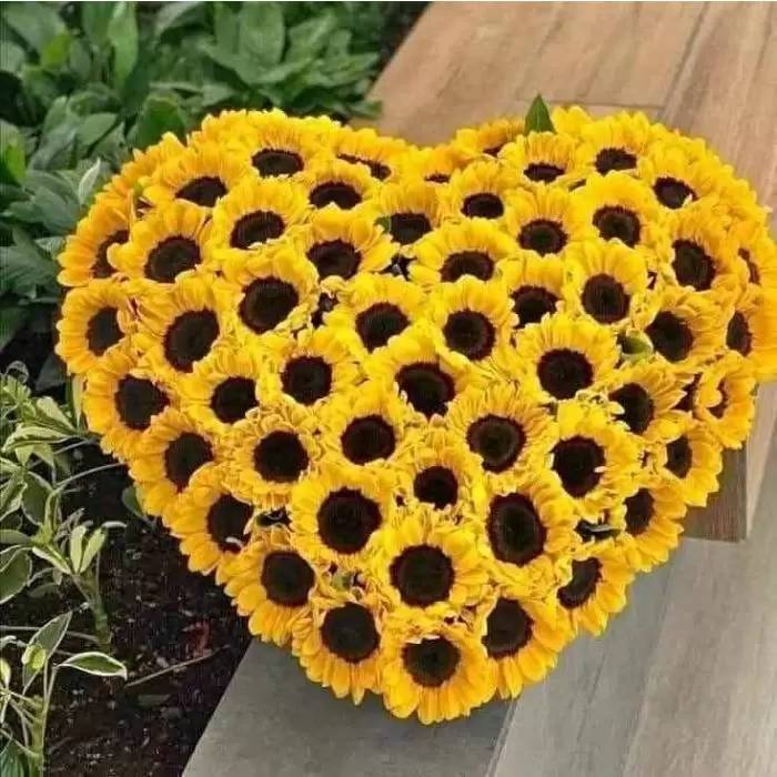 Heart of Sunflowers