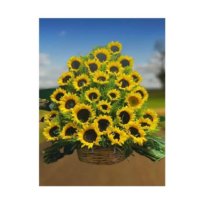 Sunflowers Pyramid