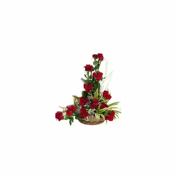 Venice (36 roses)