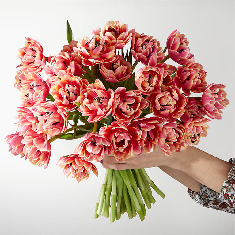 Blushing Columbus Tulips (15 Tulips)