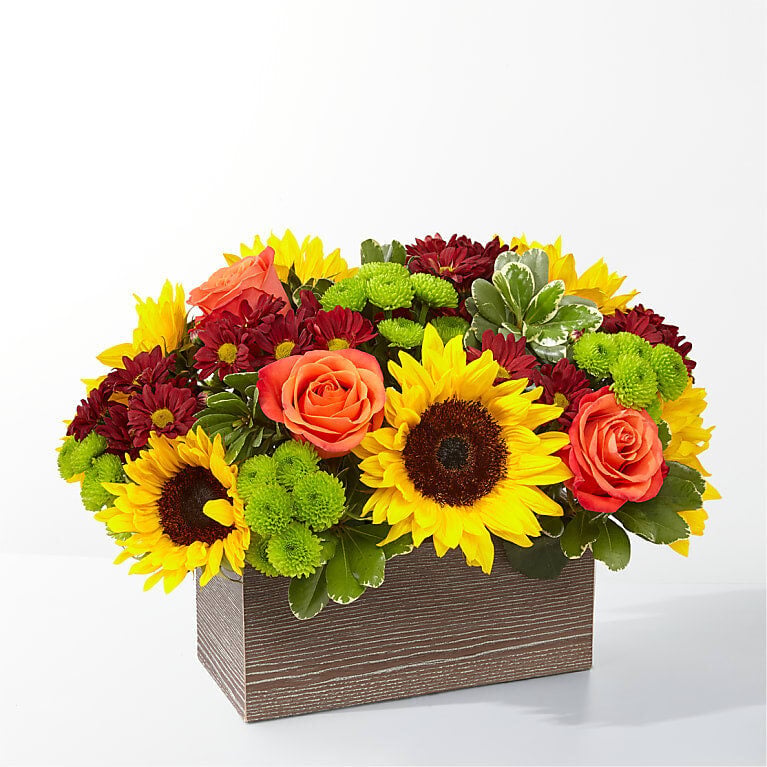 Happy Harvest Garden (Standard)