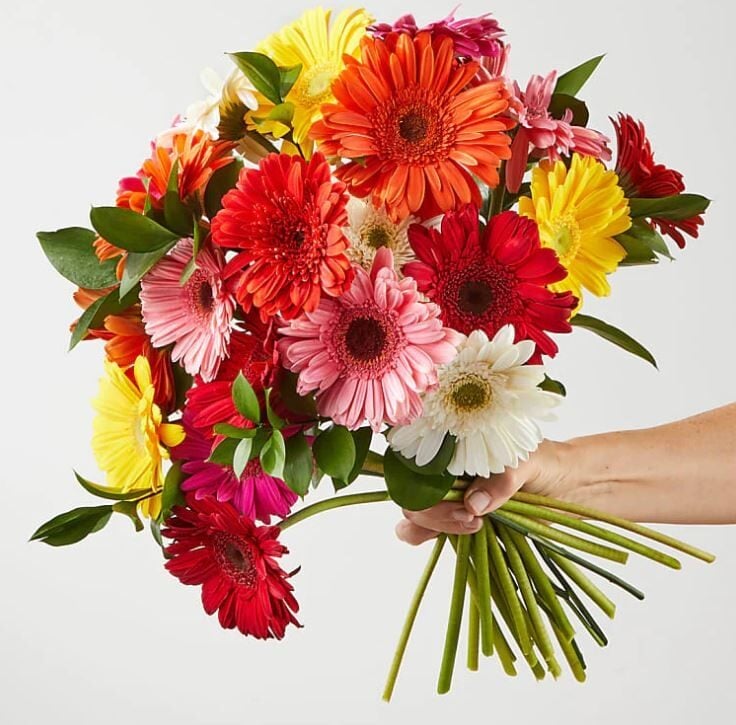 Sunkissed Gerbera Bouquet (Original Sunkissed Gerbera Bouquet)