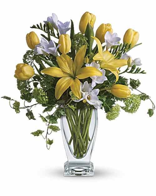 Giftblooms Spring Rhapsody (Standard)