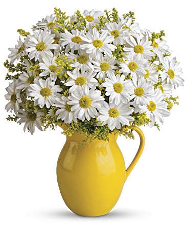 Giftblooms Sunny Day Pitcher of Daisies (Standard)