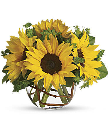 Sunny Sunflowers (Standard)