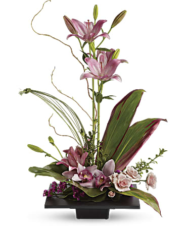 Imagination Blooms with Cymbidium Orchids (Standard)