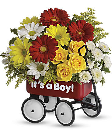 Baby's Wow Wagon by  - Boy (Standard)