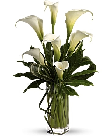 My Fair Lady by (Standard)