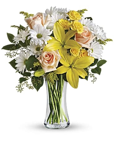 Daisies and Sunbeams (Standard)