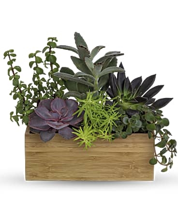 Grow Positive Garden